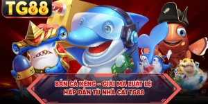 Bắn Cá Xèng - Giải Mã Luật Lệ Hấp Dẫn Từ Nhà Cái TG88