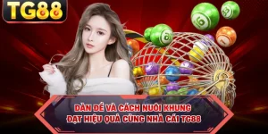 Dàn Đề Và Cách Nuôi Khung Đạt Hiệu Quả Cùng Nhà Cái TG88