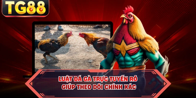 Luật đá gà trực tuyến rõ giúp theo dõi chính xác
