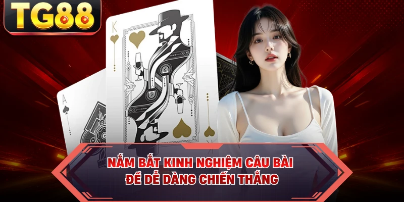 Nắm bắt kinh nghiệm câu bài để dễ dàng chiến thắng
