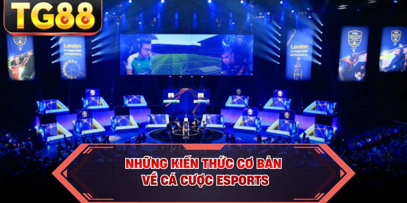 Những kiến thức cơ bản về cá cược Esports